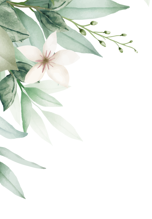 植物