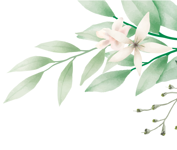 植物